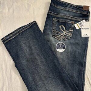 WallFlower Luscious Curvy Bootcut Jeans, Basil, Mid-Rise, Plus Size 22 Long